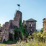 Maennerleben Harztor